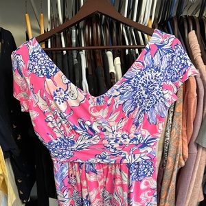 NWT Lilly Pulitzer Winslow Dress